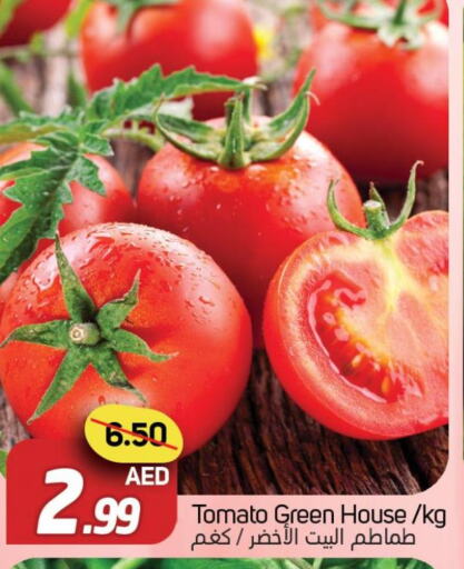  Tomato  in Souk Al Mubarak Hypermarket in UAE - Sharjah / Ajman