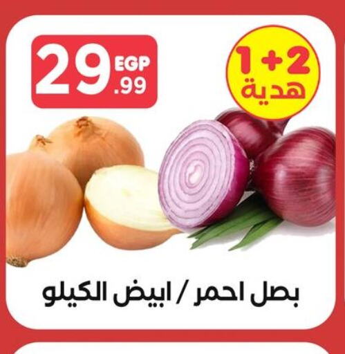  White Onion  in مارت فيل in Egypt - القاهرة