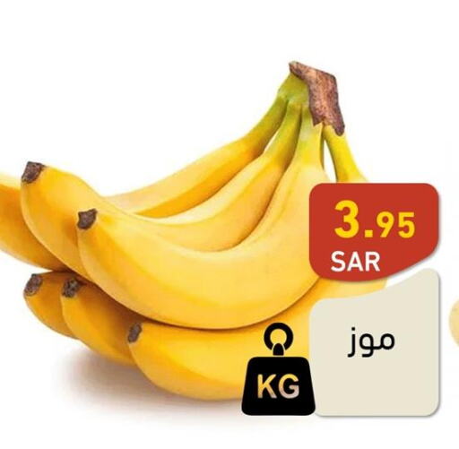  Banana  in أسواق رامز in مملكة العربية السعودية, السعودية, سعودية - الرياض