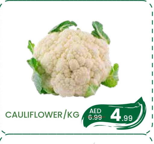  Cauliflower  in MADHOOR SUPERMARKET L.L.C in UAE - Sharjah / Ajman