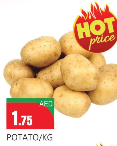  Potato  in سوبرماركت دونتون فرش in الإمارات العربية المتحدة , الامارات - ٱلْعَيْن‎
