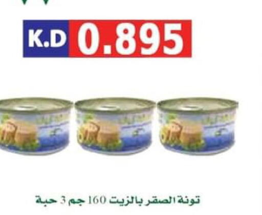  Tuna - Canned  in جمعية ضاحية صباح الناصر التعاونية in الكويت - مدينة الكويت
