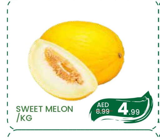  Sweet melon  in مدهور سوبرماركت in الإمارات العربية المتحدة , الامارات - دبي