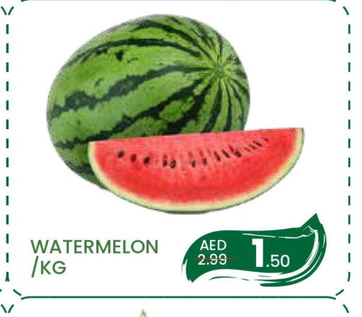  Watermelon  in مدهور سوبرماركت in الإمارات العربية المتحدة , الامارات - دبي