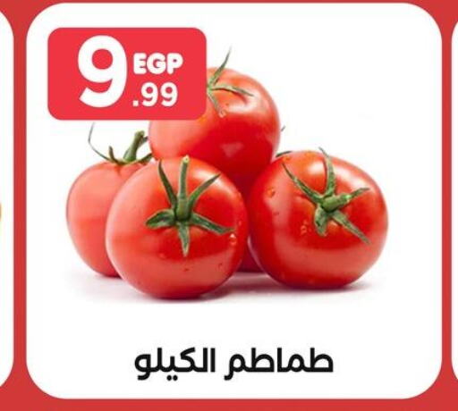  Tomato  in مارت فيل in Egypt - القاهرة