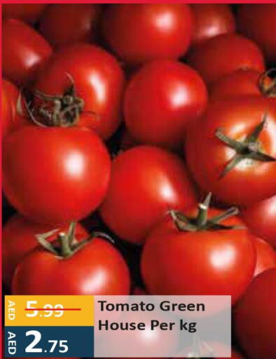  Tomato  in Enrich Hypermarket in UAE - Abu Dhabi