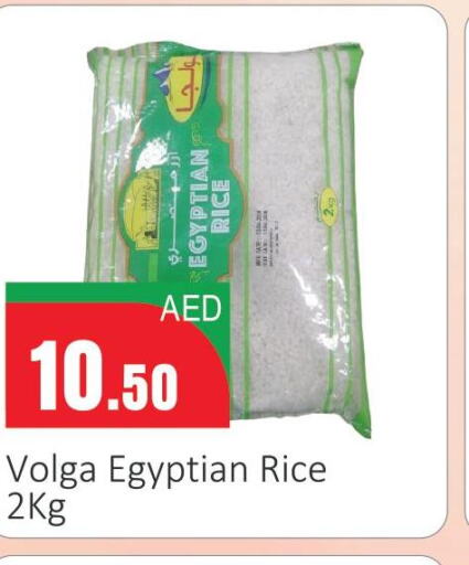  Egyptian / Calrose Rice  in سوبرماركت دونتون فرش in الإمارات العربية المتحدة , الامارات - ٱلْعَيْن‎