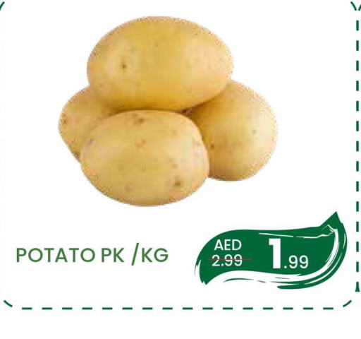  Potato  in MADHOOR SUPERMARKET L.L.C in UAE - Sharjah / Ajman