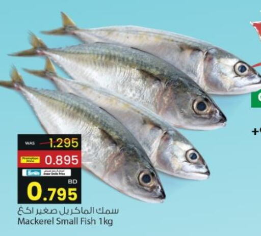  King Fish  in أنصار جاليري in البحرين
