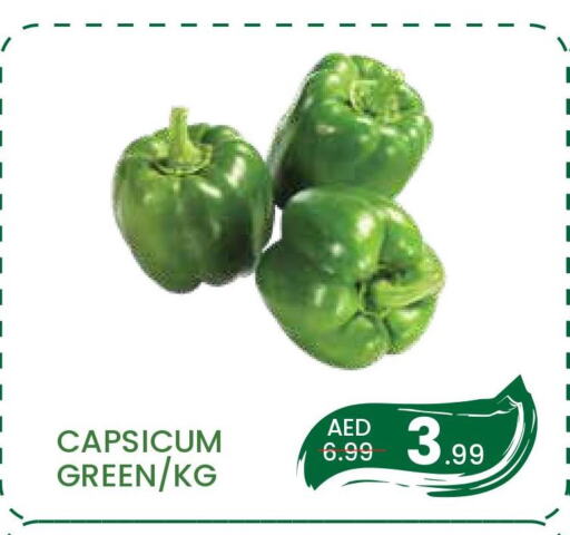  Chilli / Capsicum  in مدهور سوبرماركت in الإمارات العربية المتحدة , الامارات - دبي