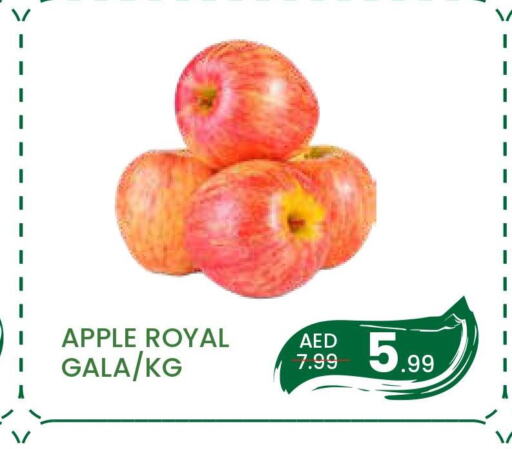  Apples  in مدهور سوبرماركت in الإمارات العربية المتحدة , الامارات - دبي