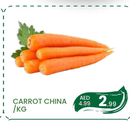  Carrot  in مدهور سوبرماركت in الإمارات العربية المتحدة , الامارات - دبي