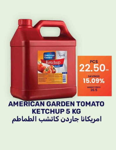 AMERICAN GARDEN Tomato Ketchup  in بسمي بالجملة in الإمارات العربية المتحدة , الامارات - دبي