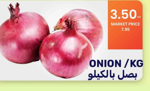 Onion  in بسمي بالجملة in الإمارات العربية المتحدة , الامارات - دبي