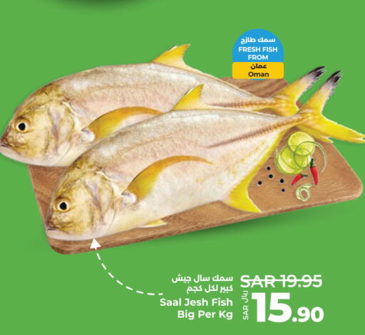  King Fish  in لولو هايبرماركت in مملكة العربية السعودية, السعودية, سعودية - الخبر‎