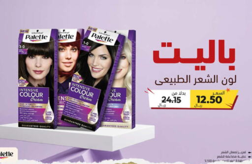 PALETTE Hair Colour  in United Pharmacies in KSA, Saudi Arabia, Saudi - Jeddah