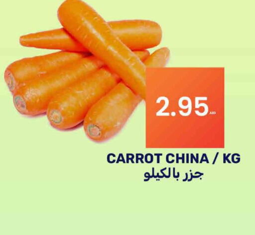  Carrot  in بسمي بالجملة in الإمارات العربية المتحدة , الامارات - دبي