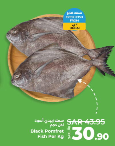  King Fish  in لولو هايبرماركت in مملكة العربية السعودية, السعودية, سعودية - المنطقة الشرقية
