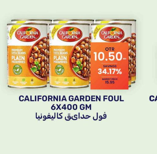 CALIFORNIA GARDEN Fava Beans  in بسمي بالجملة in الإمارات العربية المتحدة , الامارات - دبي