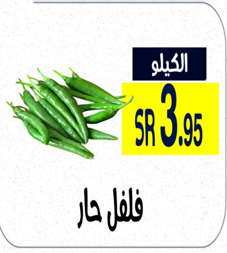  Chilli / Capsicum  in Home Market in KSA, Saudi Arabia, Saudi - Mecca