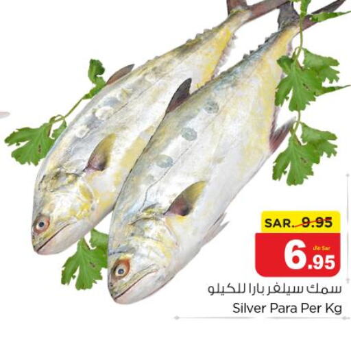  King Fish  in نستو in مملكة العربية السعودية, السعودية, سعودية - الخرج