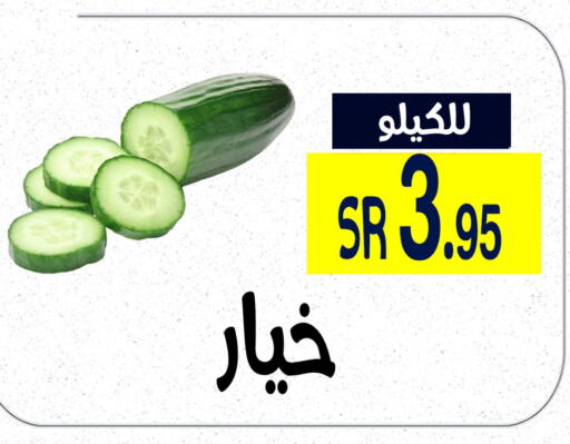  Cucumber  in Home Market in KSA, Saudi Arabia, Saudi - Mecca