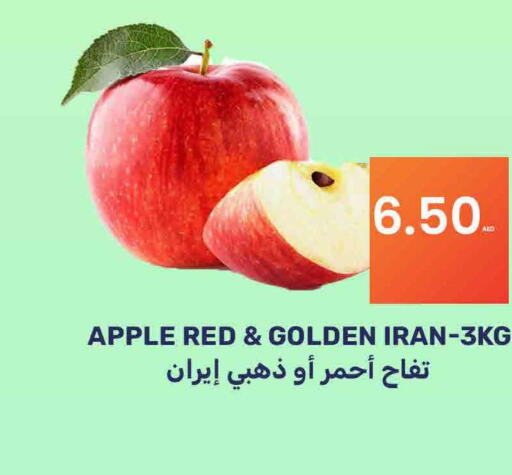  Apples  in بسمي بالجملة in الإمارات العربية المتحدة , الامارات - دبي