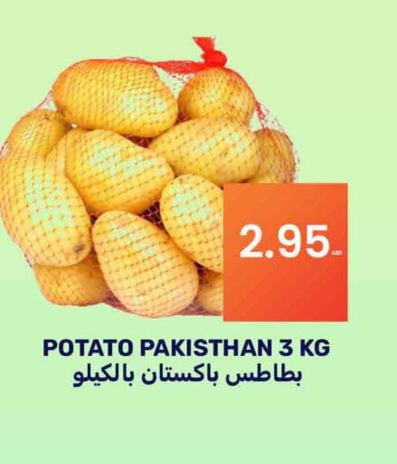  Potato  in بسمي بالجملة in الإمارات العربية المتحدة , الامارات - دبي