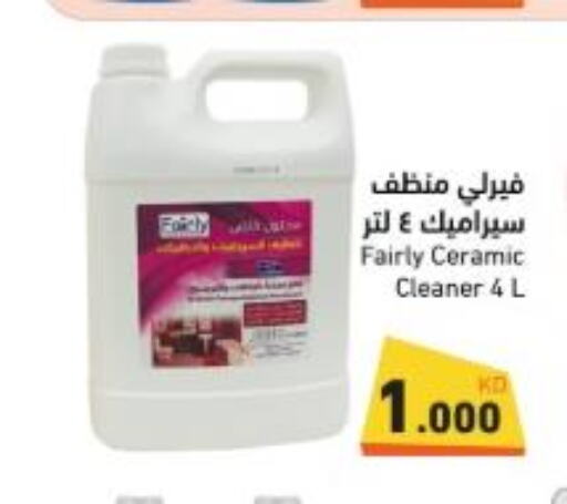  General Cleaner  in Ramez in Kuwait - Jahra Governorate