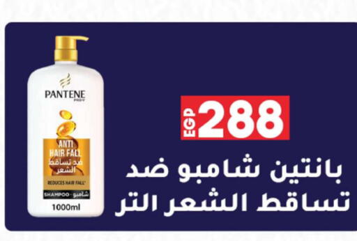 PANTENE Shampoo / Conditioner  in Lulu Hypermarket  in Egypt