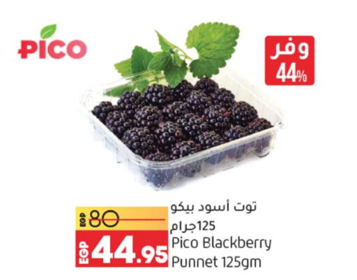 Berries  in Lulu Hypermarket  in Egypt - Cairo