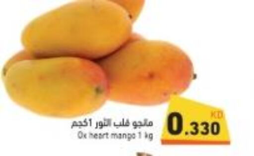 Mango   in Ramez in Kuwait - Kuwait City