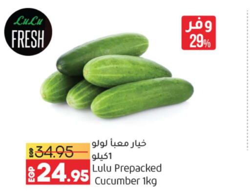  Cucumber  in Lulu Hypermarket  in Egypt