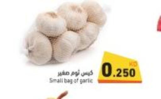  Garlic  in Ramez in Kuwait - Jahra Governorate