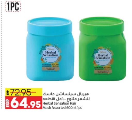  Shampoo / Conditioner  in Lulu Hypermarket  in Egypt