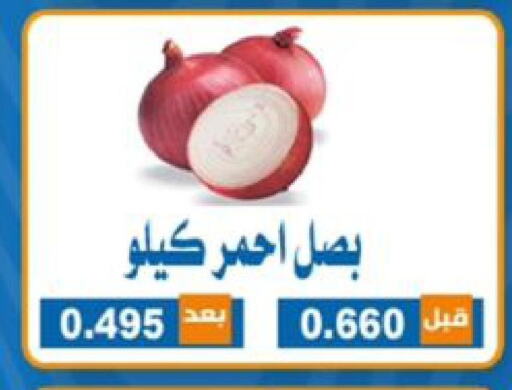  Onion  in جمعية ضاحية الشهداء التعاونية in الكويت - مدينة الكويت