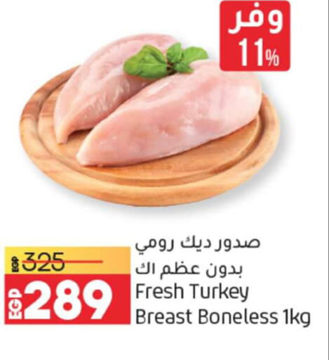  Chicken Strips  in Lulu Hypermarket  in Egypt