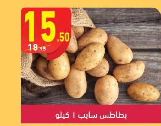  Potato  in محمود الفار in Egypt - القاهرة