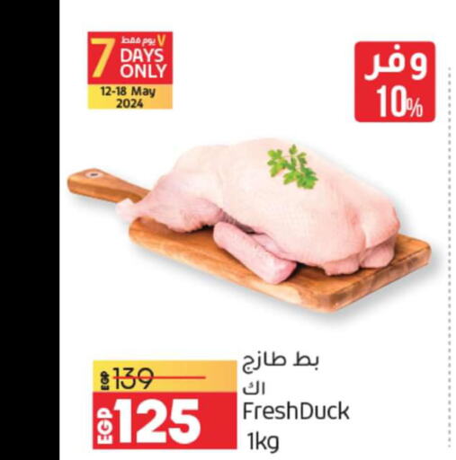  Chicken Strips  in Lulu Hypermarket  in Egypt