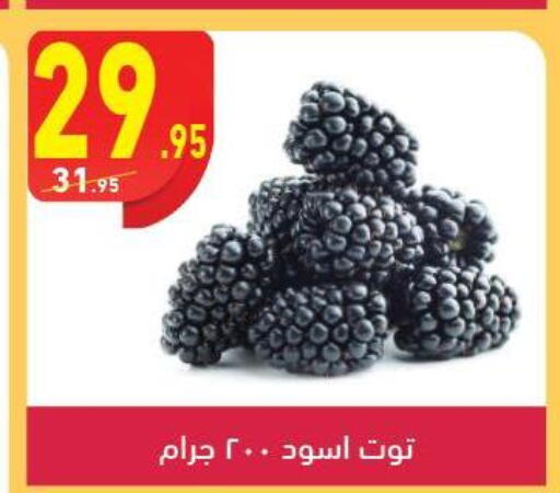  Berries  in Mahmoud El Far in Egypt - Cairo
