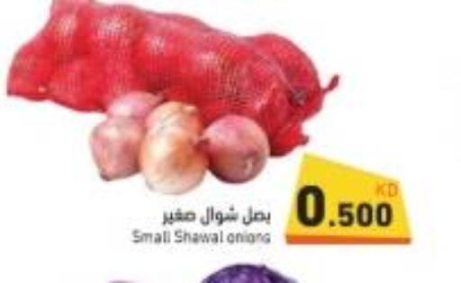  Onion  in Ramez in Kuwait - Kuwait City
