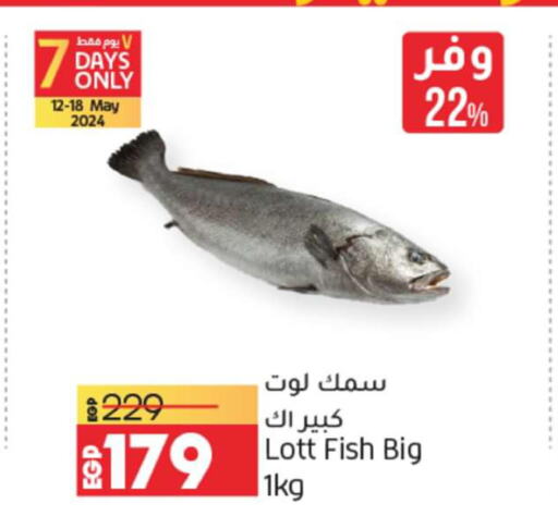  Tuna  in Lulu Hypermarket  in Egypt