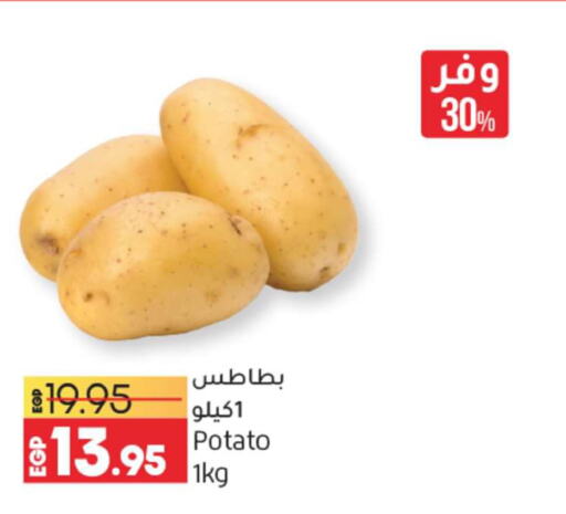  Potato  in Lulu Hypermarket  in Egypt