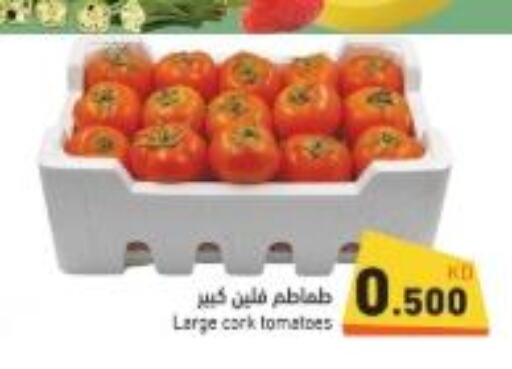 Tomato  in  رامز in الكويت - محافظة الأحمدي