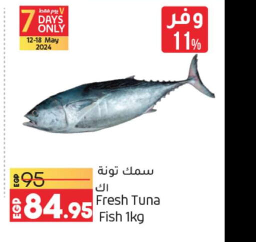  Tuna  in Lulu Hypermarket  in Egypt - Cairo