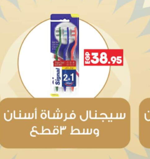 SIGNAL Toothbrush  in Lulu Hypermarket  in Egypt