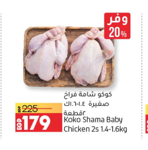  Marinated Chicken  in لولو هايبرماركت in Egypt - القاهرة