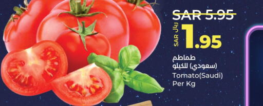  Tomato  in لولو هايبرماركت in مملكة العربية السعودية, السعودية, سعودية - الجبيل‎