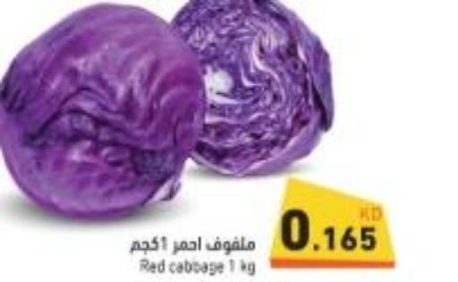  Cabbage  in Ramez in Kuwait - Jahra Governorate