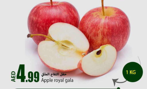  Apples  in  روابي ماركت عجمان in الإمارات العربية المتحدة , الامارات - الشارقة / عجمان